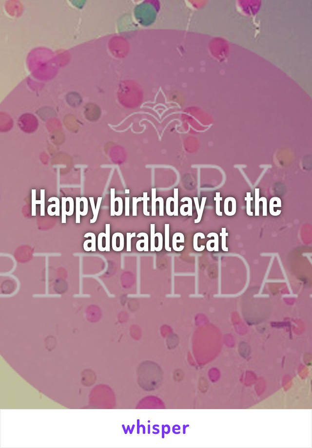 Happy birthday to the adorable cat