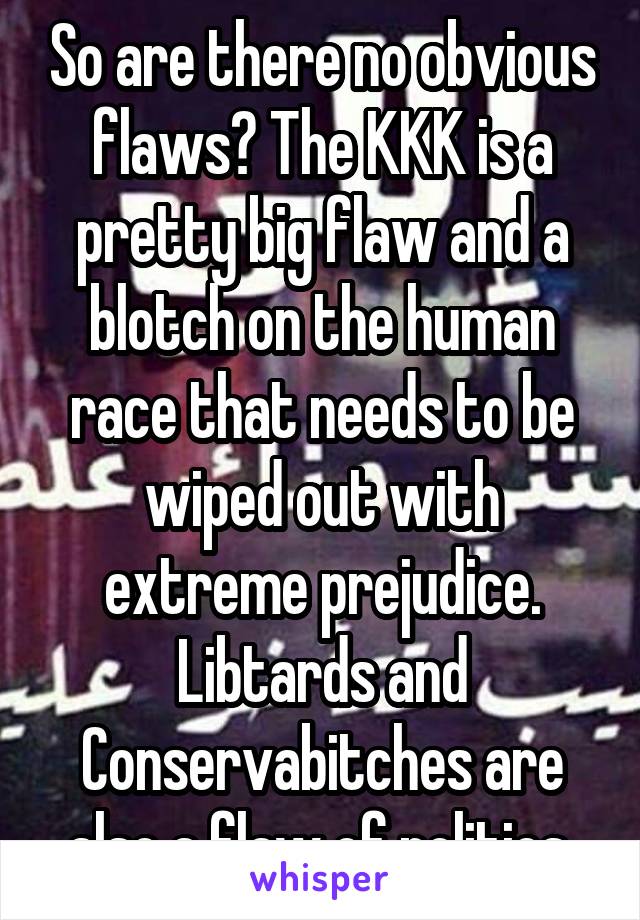 So are there no obvious flaws? The KKK is a pretty big flaw and a blotch on the human race that needs to be wiped out with extreme prejudice. Libtards and Conservabitches are also a flaw of politics.