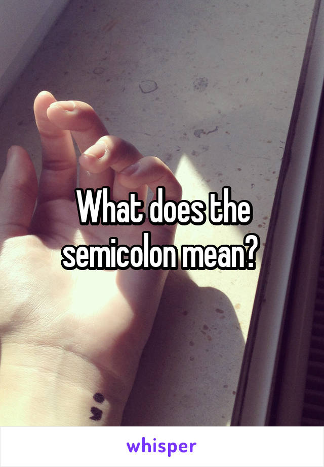 What does the semicolon mean? 