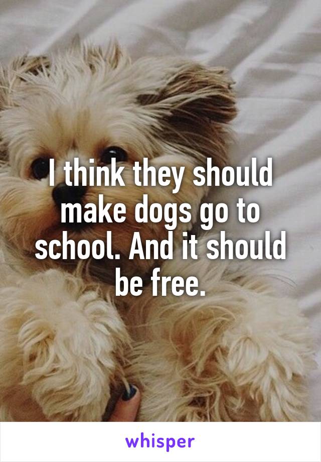 I think they should make dogs go to school. And it should be free.