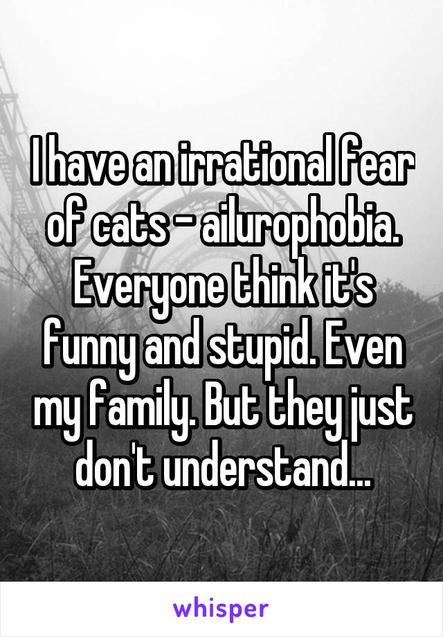 I have an irrational fear of cats - ailurophobia. Everyone think it's funny and stupid. Even my family. But they just don't understand...