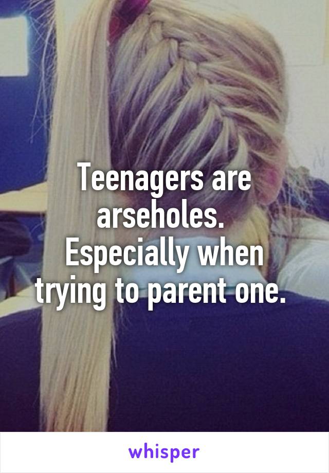 Teenagers are arseholes. 
Especially when trying to parent one. 