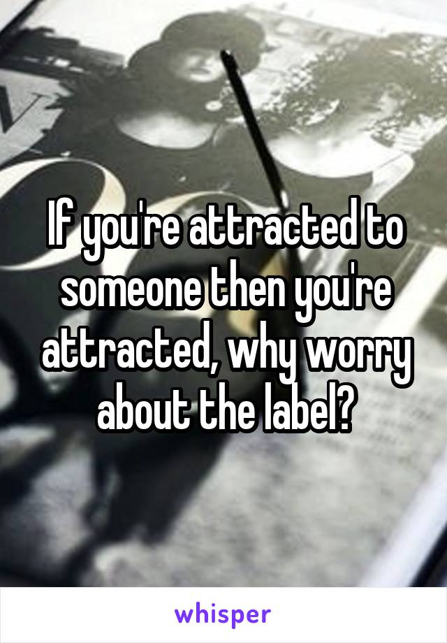 If you're attracted to someone then you're attracted, why worry about the label?