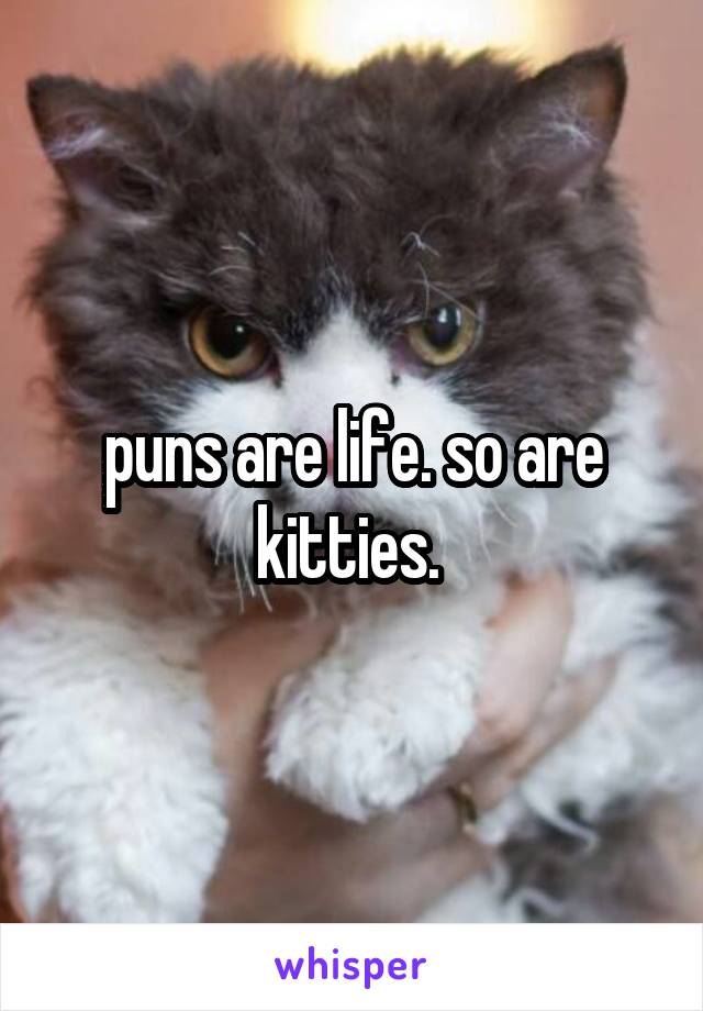 puns are life. so are kitties. 