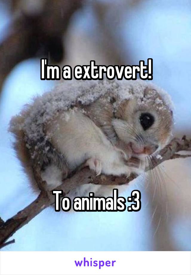 I'm a extrovert!




To animals :3