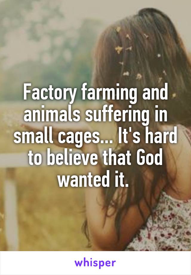 Factory farming and animals suffering in small cages... It's hard to believe that God wanted it. 