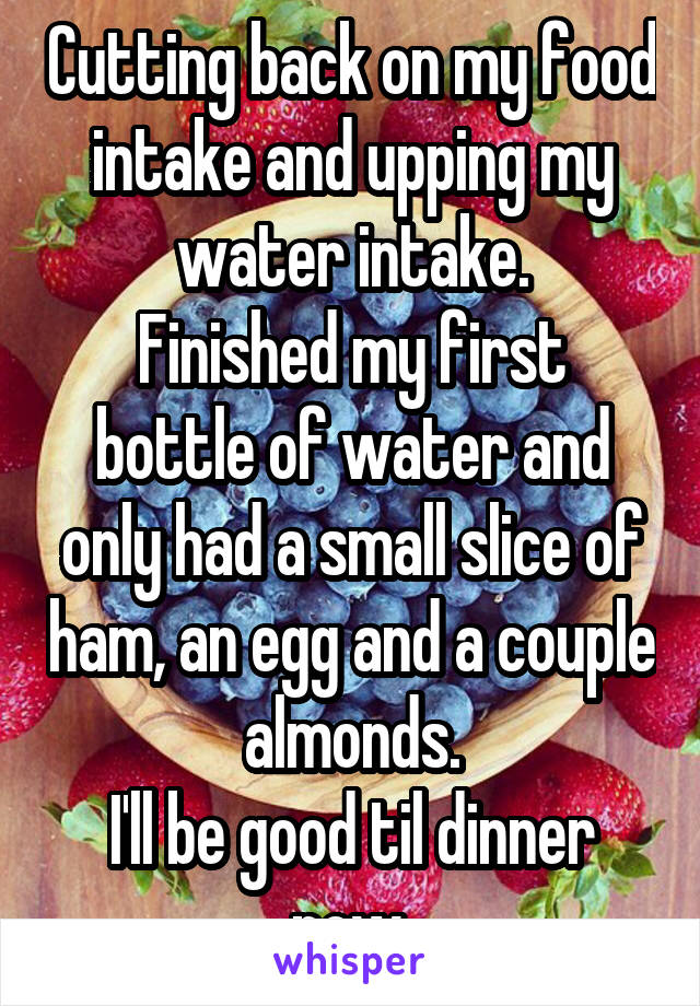 Cutting back on my food intake and upping my water intake.
Finished my first bottle of water and only had a small slice of ham, an egg and a couple almonds.
I'll be good til dinner now.