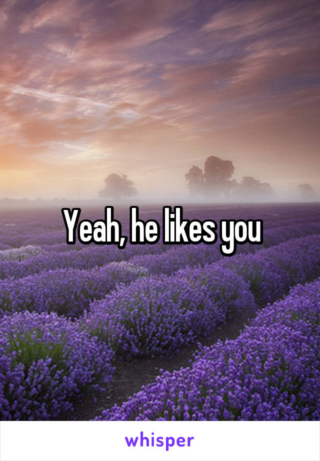 Yeah, he likes you