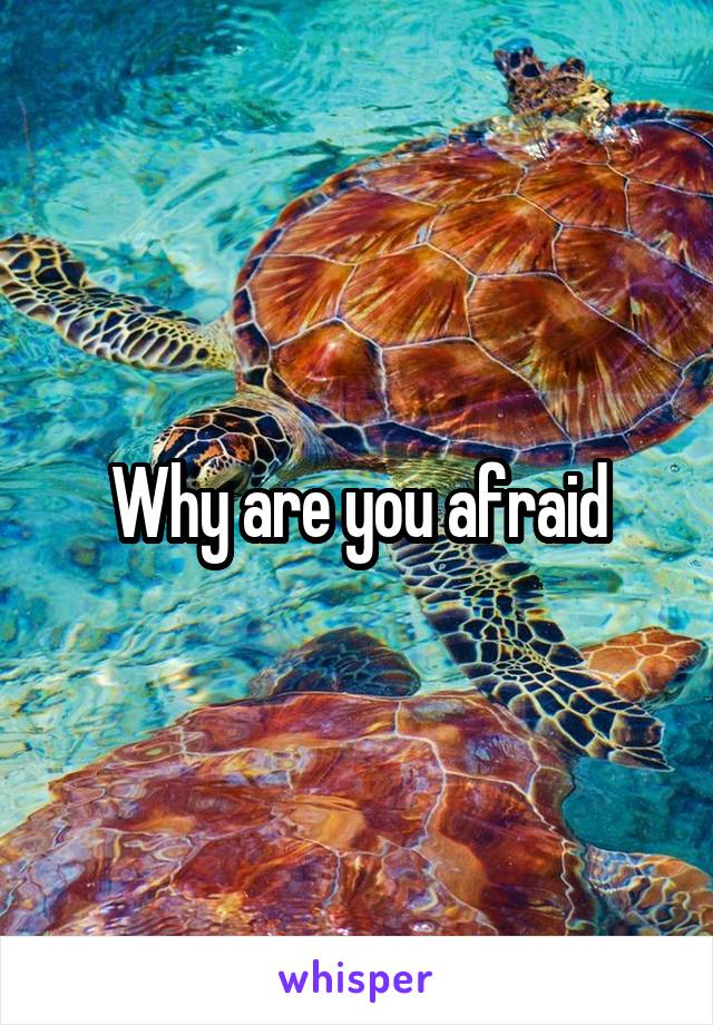 Why are you afraid