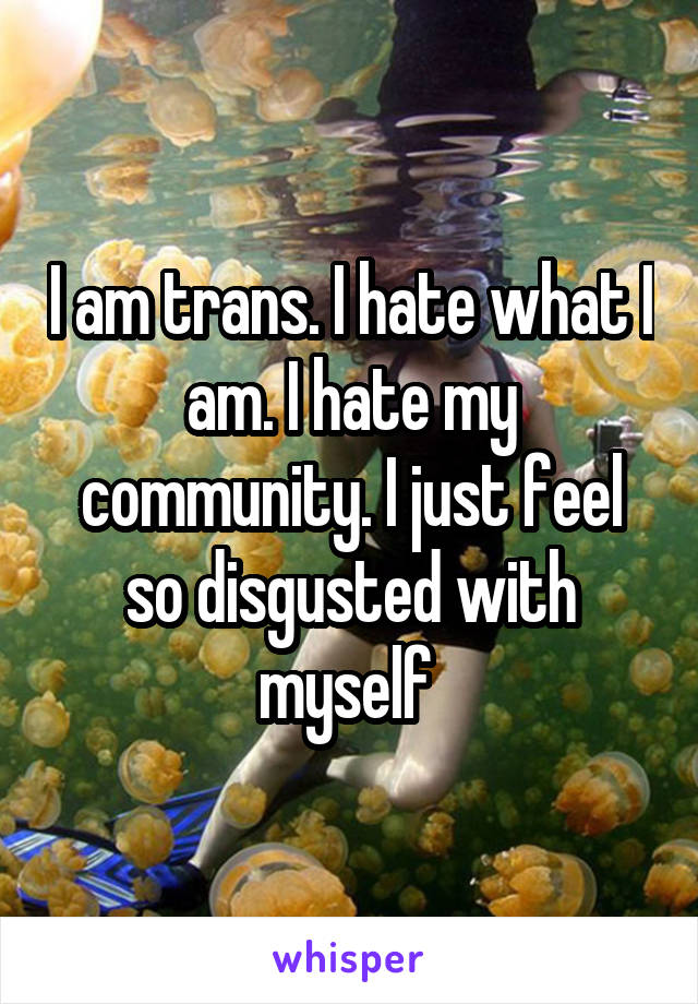 I am trans. I hate what I am. I hate my community. I just feel so disgusted with myself 