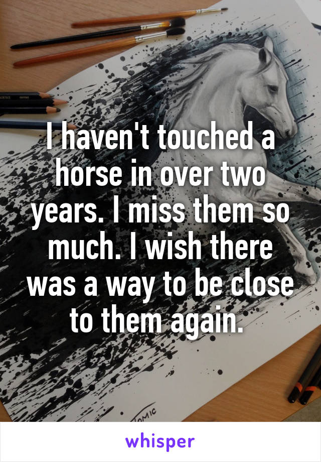 I haven't touched a horse in over two years. I miss them so much. I wish there was a way to be close to them again. 