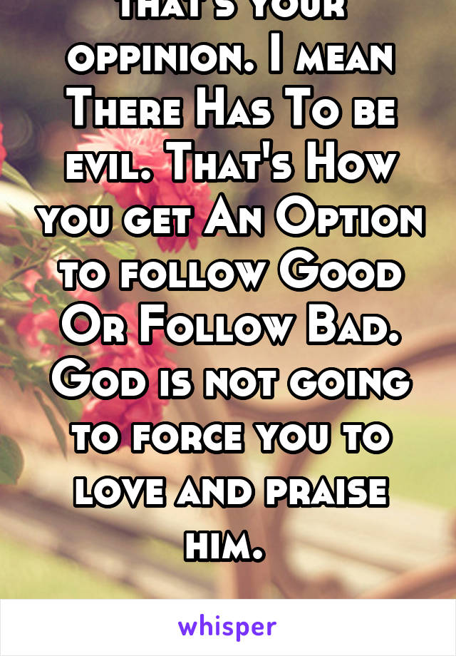 that's your oppinion. I mean There Has To be evil. That's How you get An Option to follow Good Or Follow Bad. God is not going to force you to love and praise him. 

