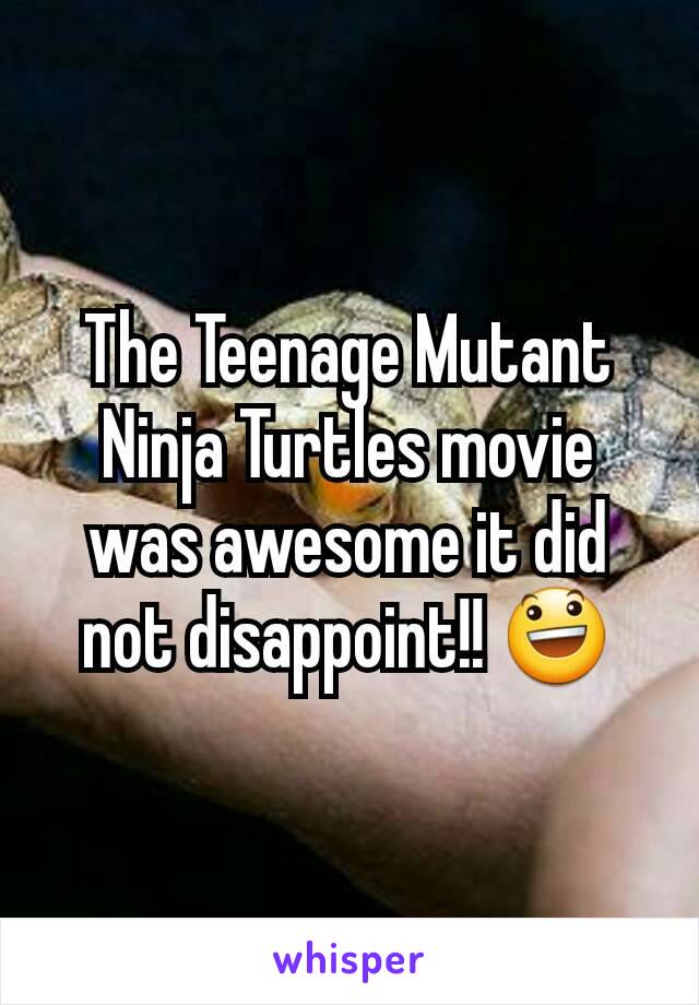 The Teenage Mutant Ninja Turtles movie was awesome it did not disappoint!! 😃