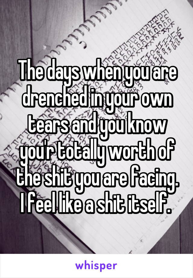 The days when you are drenched in your own tears and you know you'r totally worth of the shit you are facing. I feel like a shit itself. 