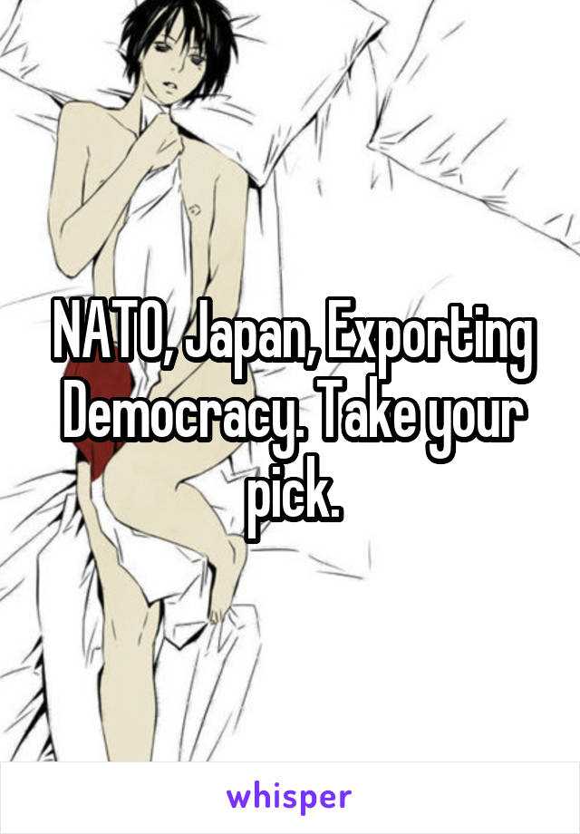 NATO, Japan, Exporting Democracy. Take your pick.