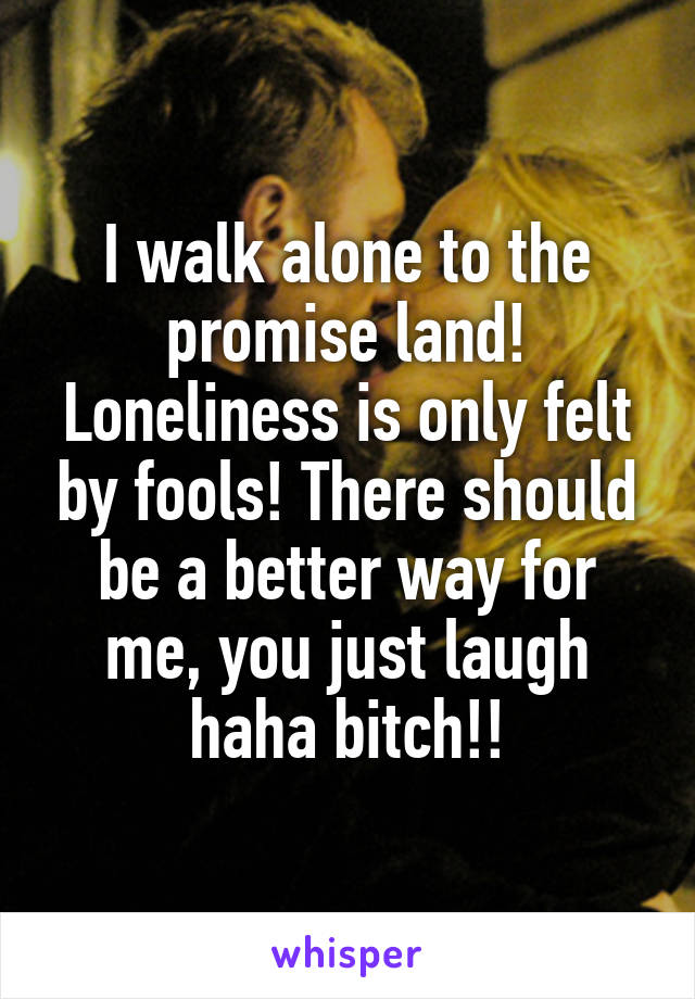 I walk alone to the promise land! Loneliness is only felt by fools! There should be a better way for me, you just laugh haha bitch!!