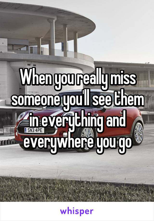 When you really miss someone you'll see them in everything and everywhere you go