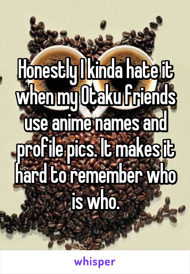 Honestly I kinda hate it when my Otaku friends use anime names and profile pics. It makes it hard to remember who is who.