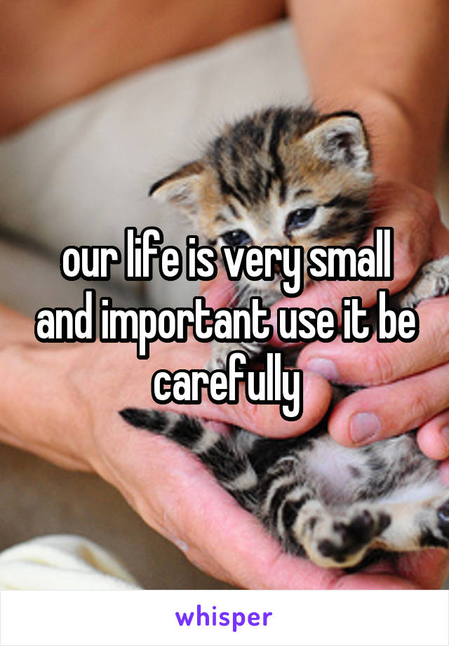 our life is very small and important use it be carefully