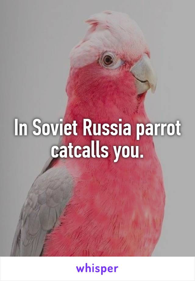 In Soviet Russia parrot catcalls you.