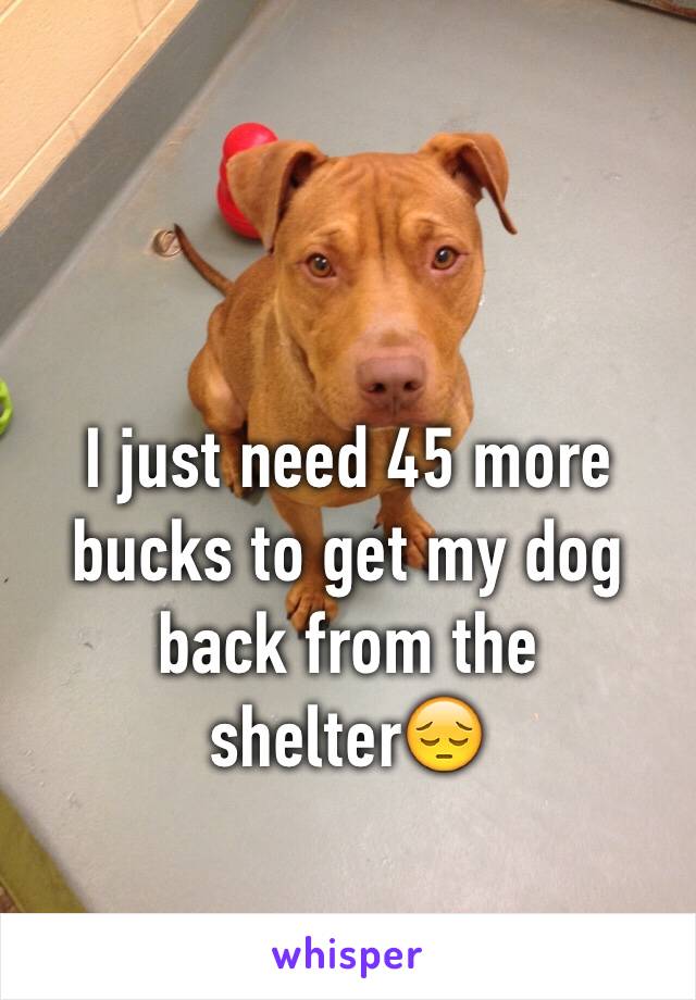 I just need 45 more bucks to get my dog back from the shelter😔