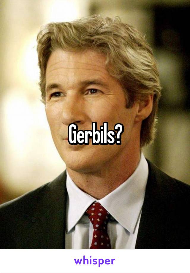 Gerbils?