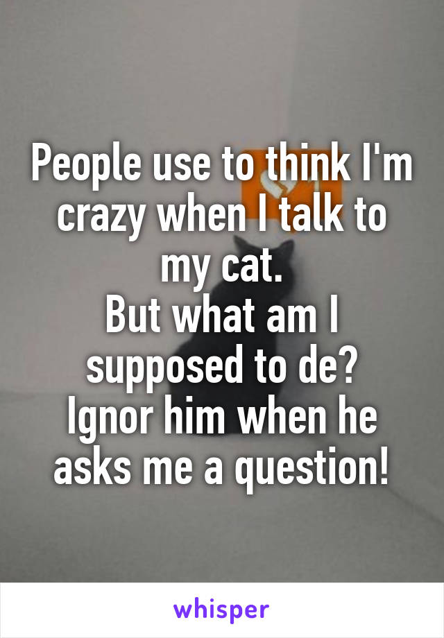 People use to think I'm crazy when I talk to my cat.
But what am I supposed to de?
Ignor him when he asks me a question!