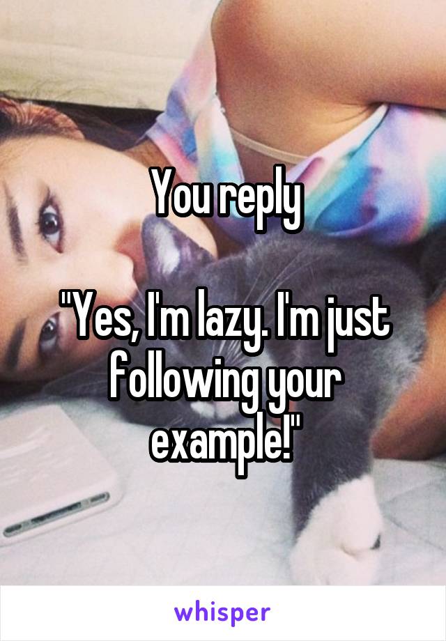 You reply

"Yes, I'm lazy. I'm just following your example!"