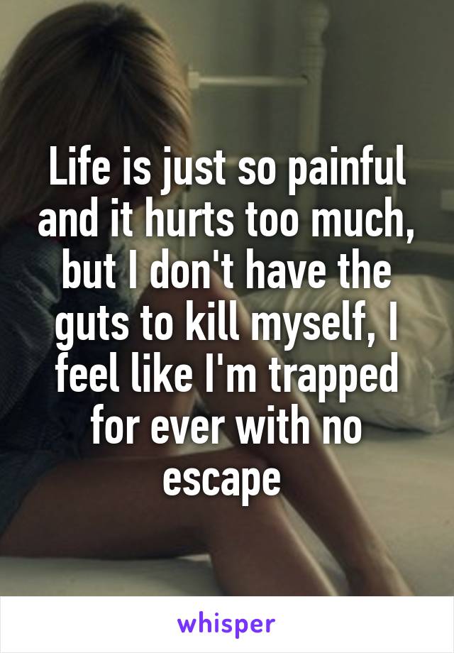 Life is just so painful and it hurts too much, but I don't have the guts to kill myself, I feel like I'm trapped for ever with no escape 