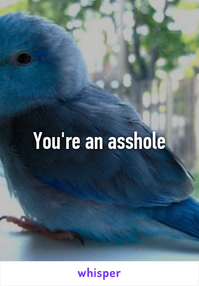 You're an asshole