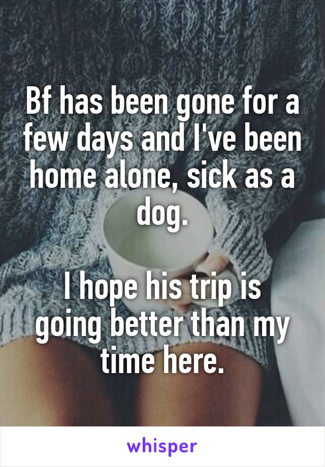 Bf has been gone for a few days and I've been home alone, sick as a dog.

I hope his trip is going better than my time here.