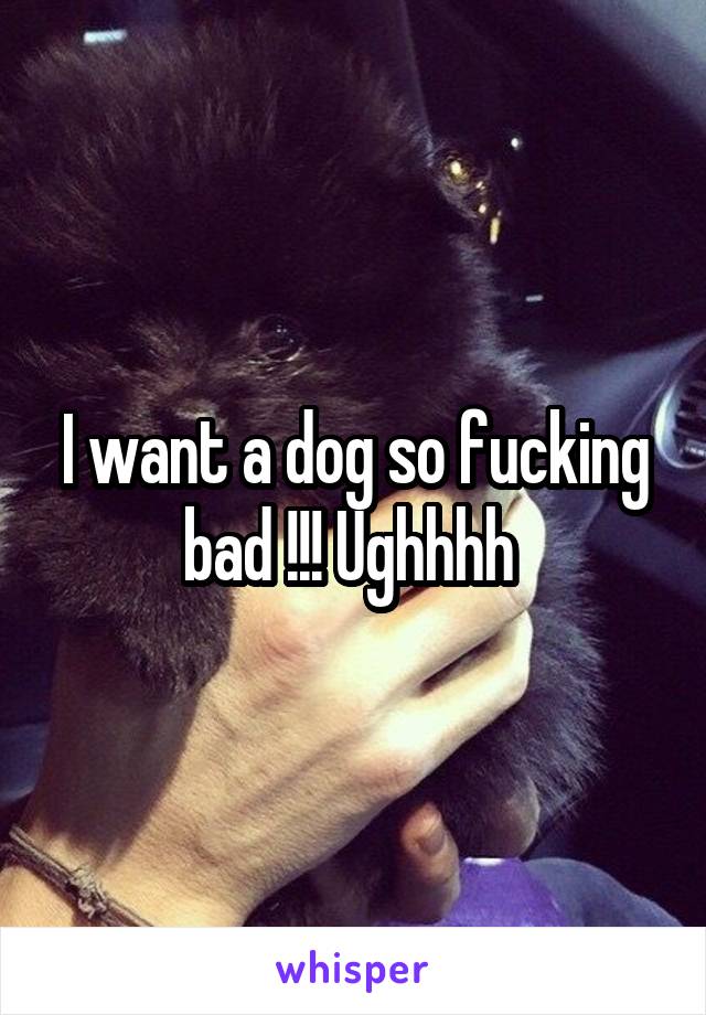 I want a dog so fucking bad !!! Ughhhh 