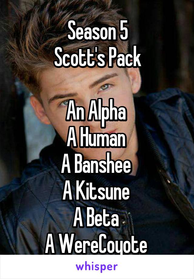 Season 5
Scott's Pack

An Alpha 
A Human 
A Banshee 
A Kitsune 
A Beta 
A WereCoyote 