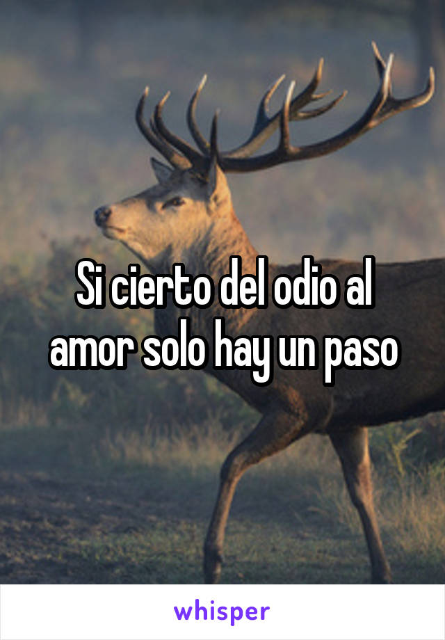 Si cierto del odio al amor solo hay un paso