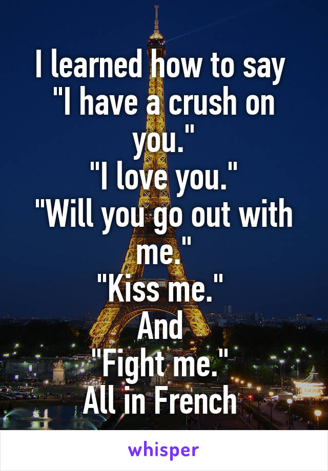 I learned how to say 
"I have a crush on you."
"I love you."
"Will you go out with me."
"Kiss me." 
And 
"Fight me." 
All in French 