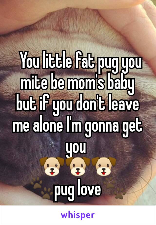   You little fat pug you mite be mom's baby but if you don't leave me alone I'm gonna get you 
🐶🐶🐶
🐾pug love🐾