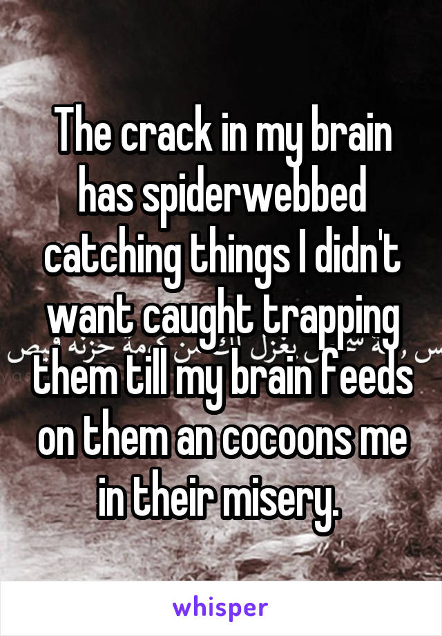 The crack in my brain has spiderwebbed catching things I didn't want caught trapping them till my brain feeds on them an cocoons me in their misery. 