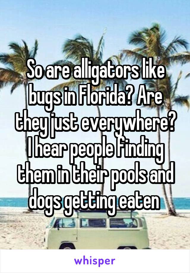 So are alligators like bugs in Florida? Are they just everywhere?
I hear people finding them in their pools and dogs getting eaten 
