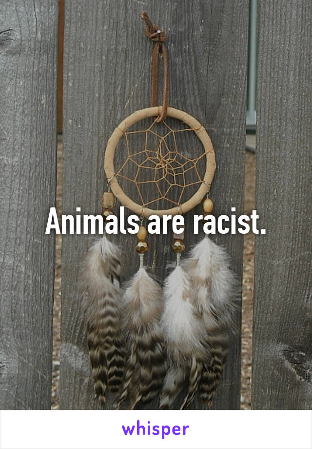 Animals are racist.