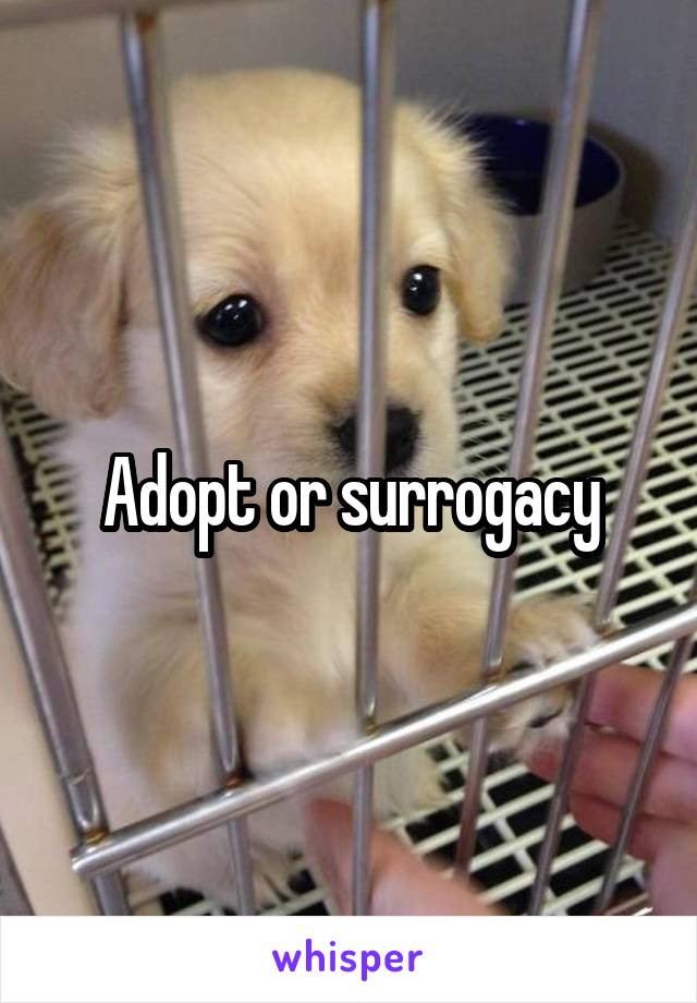 Adopt or surrogacy