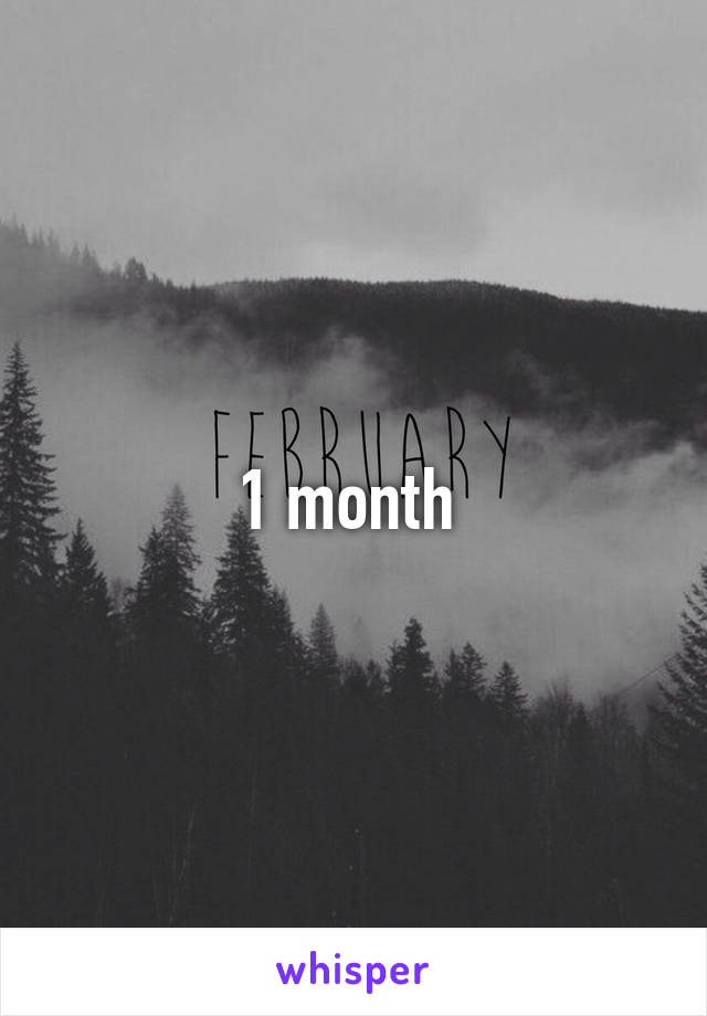 1 month 