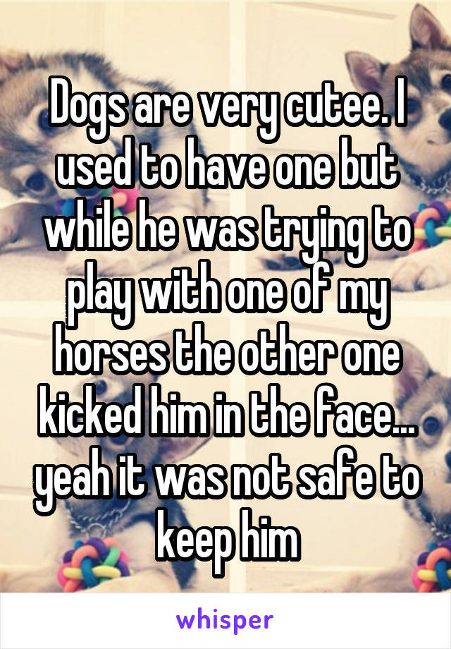 Dogs are very cutee. I used to have one but while he was trying to play with one of my horses the other one kicked him in the face... yeah it was not safe to keep him