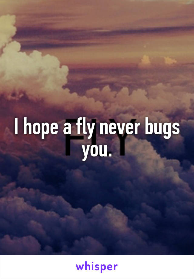 I hope a fly never bugs you.