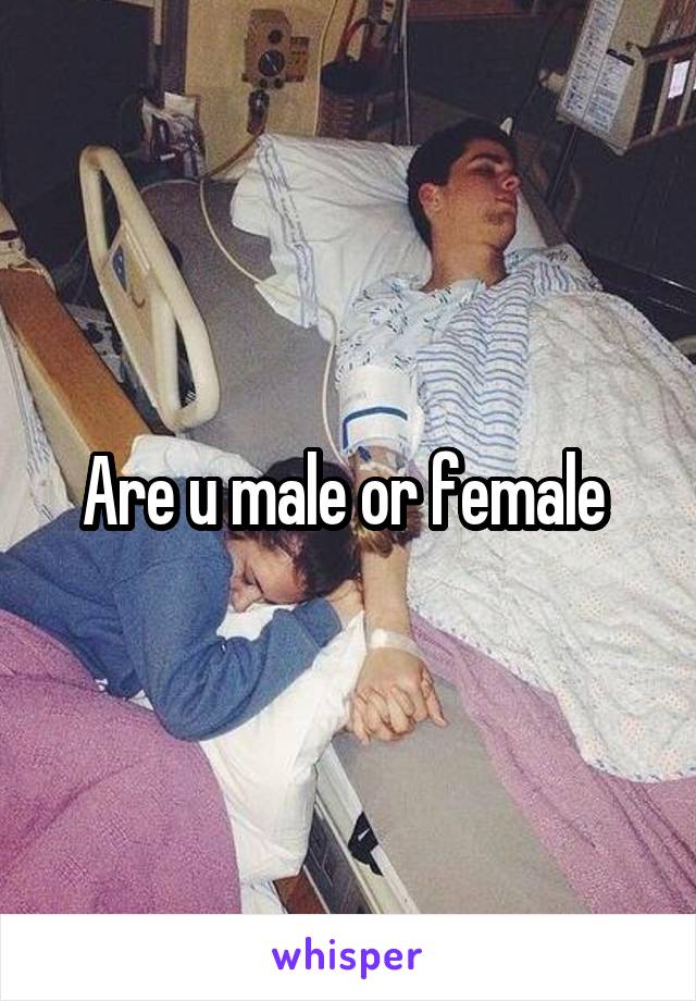 Are u male or female 