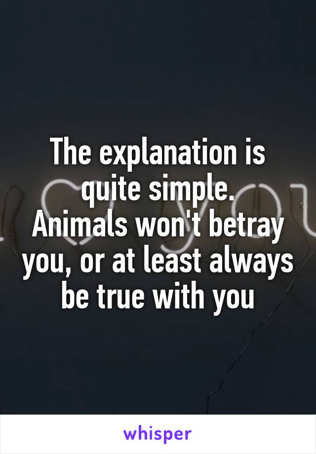 The explanation is quite simple.
Animals won't betray you, or at least always be true with you