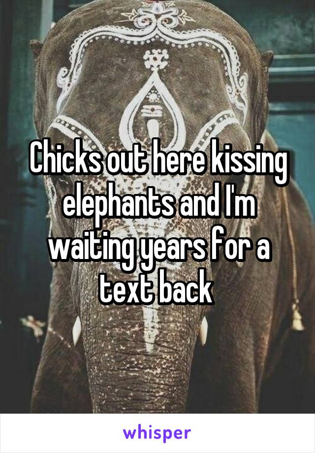 Chicks out here kissing elephants and I'm waiting years for a text back 