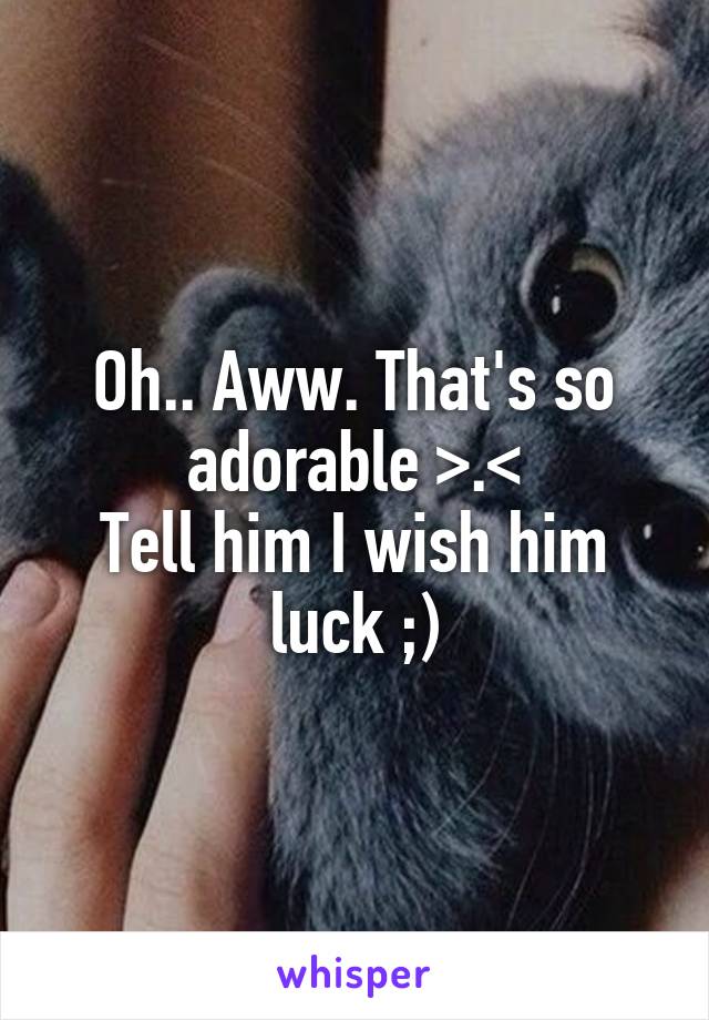 Oh.. Aww. That's so adorable >.<
Tell him I wish him luck ;)