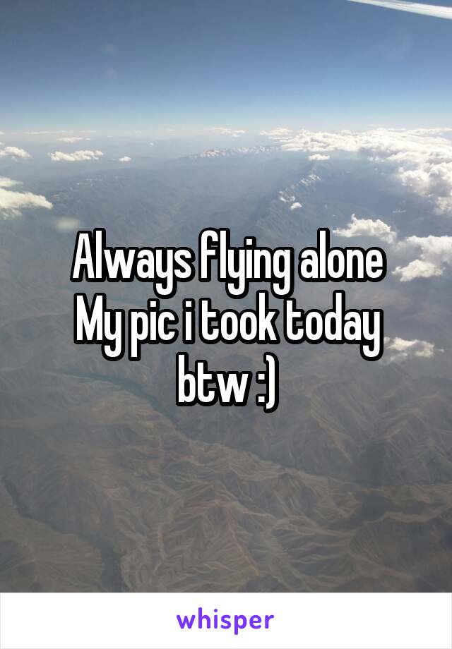 Always flying alone
My pic i took today btw :)