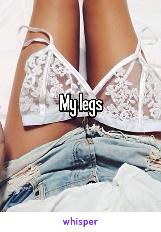 My legs
