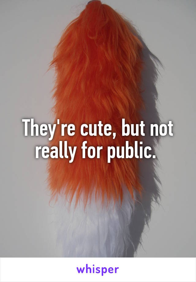 They're cute, but not really for public. 